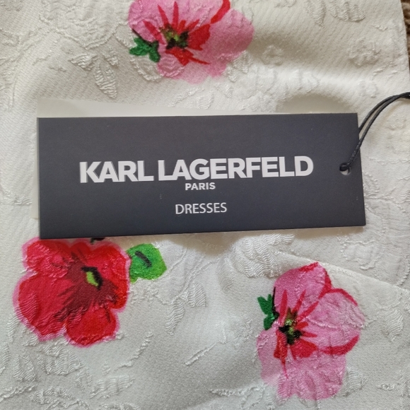 Karl Lagerfeld Dress Sz 6 Sleeveless Pink White Posey Floral Back Zip Lined - Picture 6 of 15